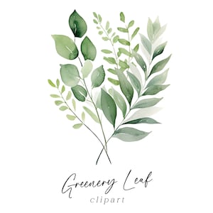 Clipart bouquet de feuilles - feuillage de verdure aquarelle feuilles graphiques PNG pour faire-part de mariage, cartes de voeux, art mural en téléchargement numérique