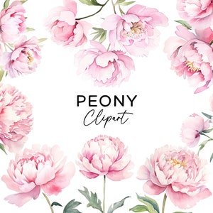 Bundle de clipart pivoine, aquarelle fleurs roses florales PNG pivoines peintes à la main graphiques mariage Scrapbooking usage Commercial téléchargement numérique