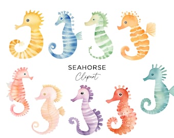 Seahorse Clipart Bundle, PNG Graphics Digital Download Watercolor Ocean Creatures Under the Sea Colorful Sea Horse Commercial Use