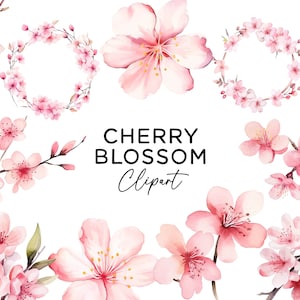 Set di bundle Clipart Cherry Blossom, fiore di primavera PNG fiori dell'acquerello sublimazione digitale Scarica grafica floreale rosa per uso commerciale