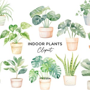 Pacchetto di Clipart di piante da interno, download digitale PNG Clipart ad acquerello Piante in vaso Monstera Giglio della pace Pianta ragno Foglie Uso commerciale