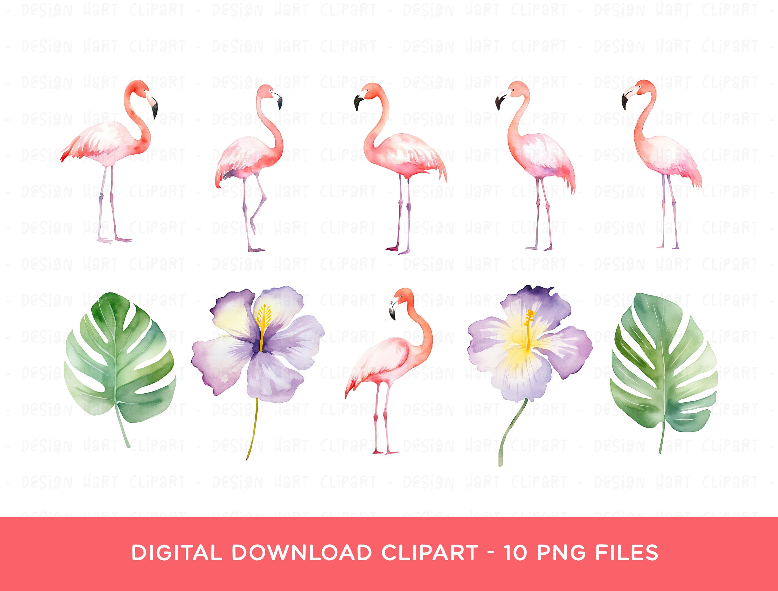 Flamingo Clipart Bundle, Watercolor Tropical Flamingoes \u0026 Leaf Clip Art PNG  Sublimation Graphics for Party Invitation Stickers Scrapbooking - Etsy, image size:3000x2278