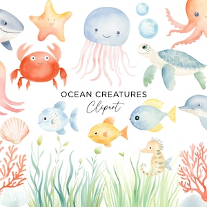 Bundle de cliparts océan, PNG graphique en téléchargement numérique aquarelle sous les créatures de la mer plage requin méduse crabe dauphin étoiles de mer usage Commercial
