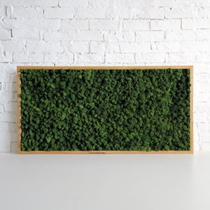 ACOUSTIC PANEL in FRAME / Sound absorber / Moss Wall Art / Sound solution / Scandinavian moss / Sound management