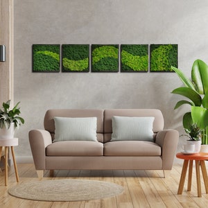 LARGE MOSS WALL / 5 pc of wall art / Living Wall Art / House Jungle / Moss Wall Art / Green Wall Decor
