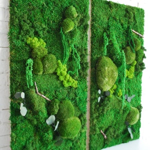 Large Moss Wall Art / Living Wall Art / House Jungle / Large Moss Frame / Green Wall Decor / Maintenance-free plant one piece 50x100 cm image 5