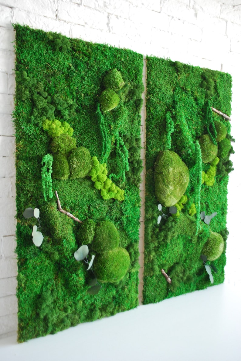 Large Moss Wall Art / Living Wall Art / House Jungle / Large Moss Frame / Green Wall Decor / Maintenance-free plant one piece 50x100 cm image 5