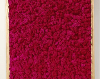 FUCHSIA Moss / ACOUSTIC Panel in Frame / Sound absorber / Moss Wall Art / Sound solution / Scandinavian moss / Sound management