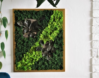 MOSS WALL ART / Express Shipping / Living Wall Art / House Jungle / Large Moss Frame / Green Wall Decor / Gold frame