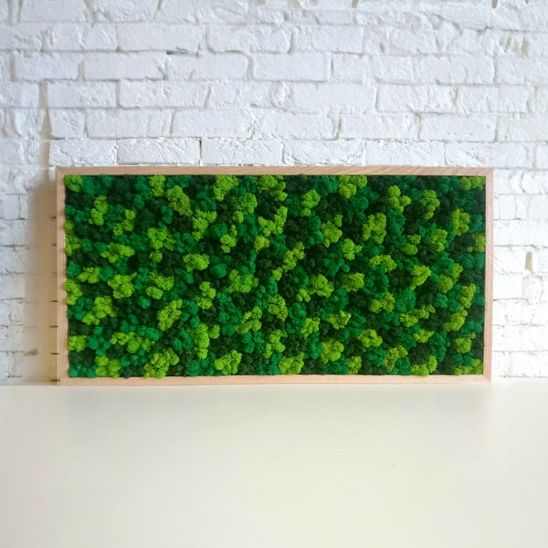 MOSS WALL ART / Living Wall / Moss Frame / Green Wall Decor / Preserved Moss / Mix Color Moss