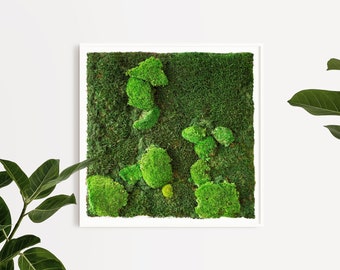 MOSS WALL ART / Frame filled with moss / 20x20" / Moss design / Preserved moss