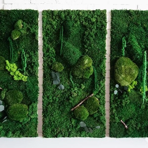 Large Moss Wall Art / Living Wall Art / House Jungle / Large Moss Frame / Green Wall Decor / Maintenance-free plant one piece 50x100 cm image 3