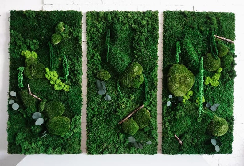 Large Moss Wall Art / Living Wall Art / House Jungle / Large Moss Frame / Green Wall Decor / Maintenance-free plant one piece 50x100 cm image 3