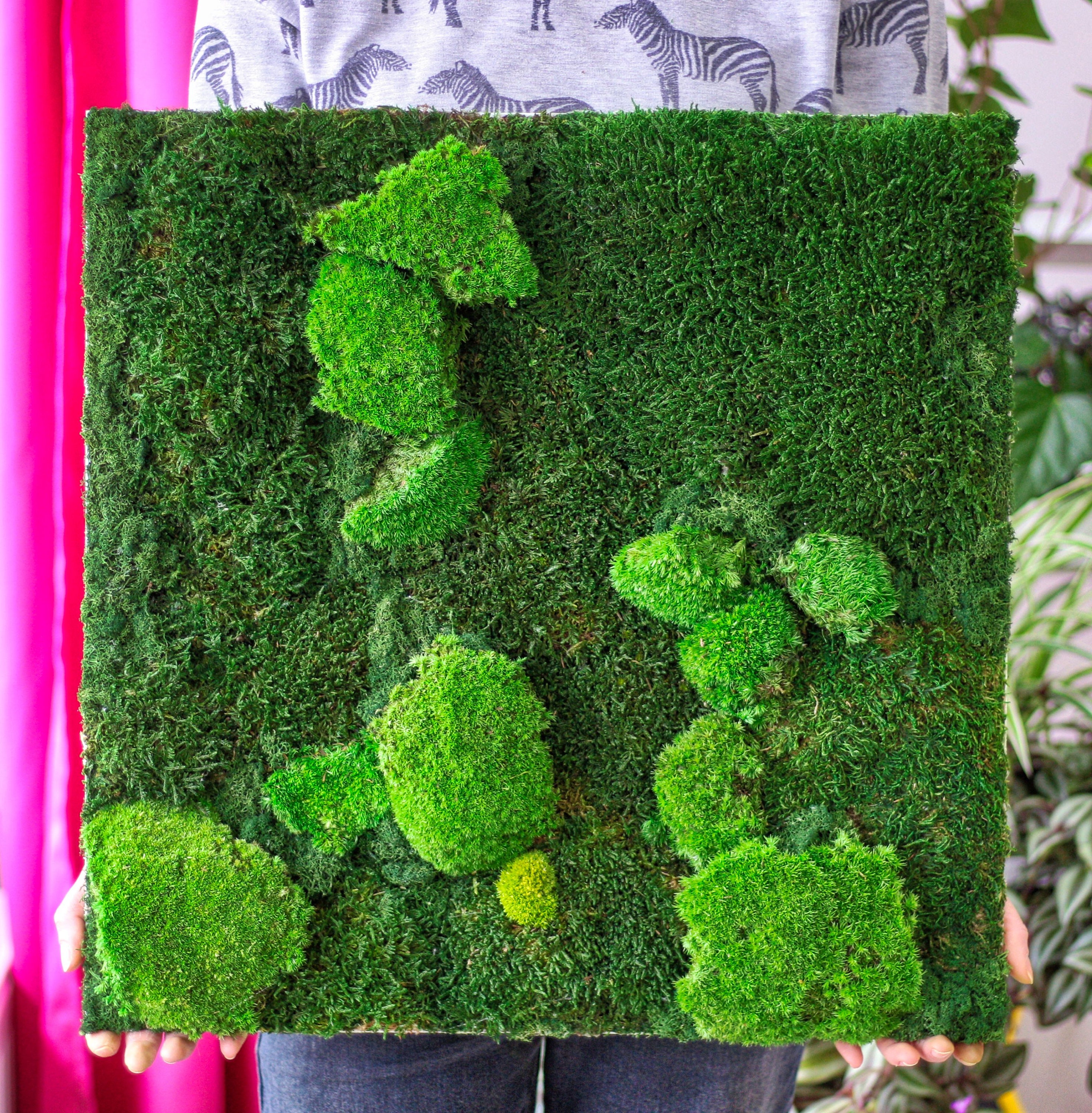 NewReindeer Moss Living Wall Panels – Living Art USA