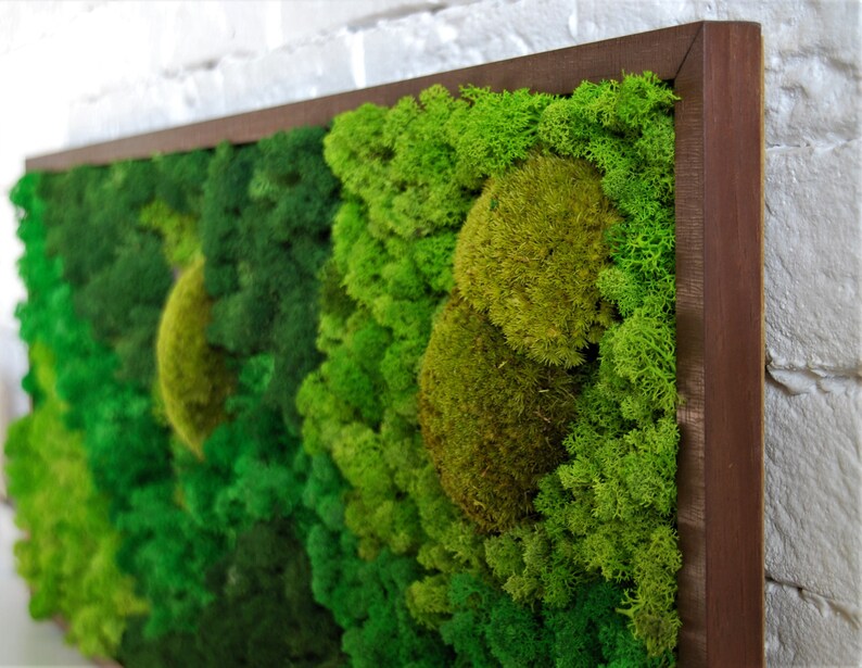 GREEN WALL PANEL / Moss Wall Art / Living Wall / House Jungle - Etsy