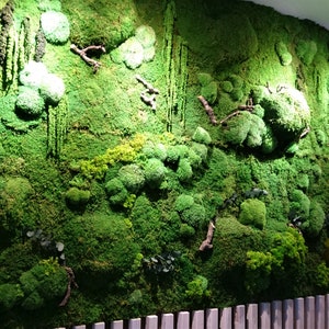Large Moss Wall Art / Living Wall Art / House Jungle / Large Moss Frame / Green Wall Decor / Maintenance-free plant one piece 50x100 cm image 1