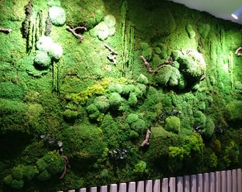 Large Moss Wall Art / Living Wall Art / House Jungle / Large Moss Frame / Green Wall Decor / Maintenance-free plant one piece 50x100 cm