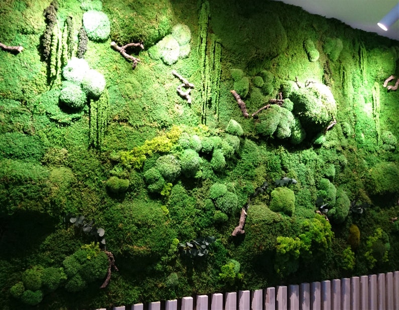 Large Moss Wall Art / Living Wall Art / House Jungle / Large Moss Frame / Green Wall Decor / Maintenance-free plant one piece 50x100 cm image 1