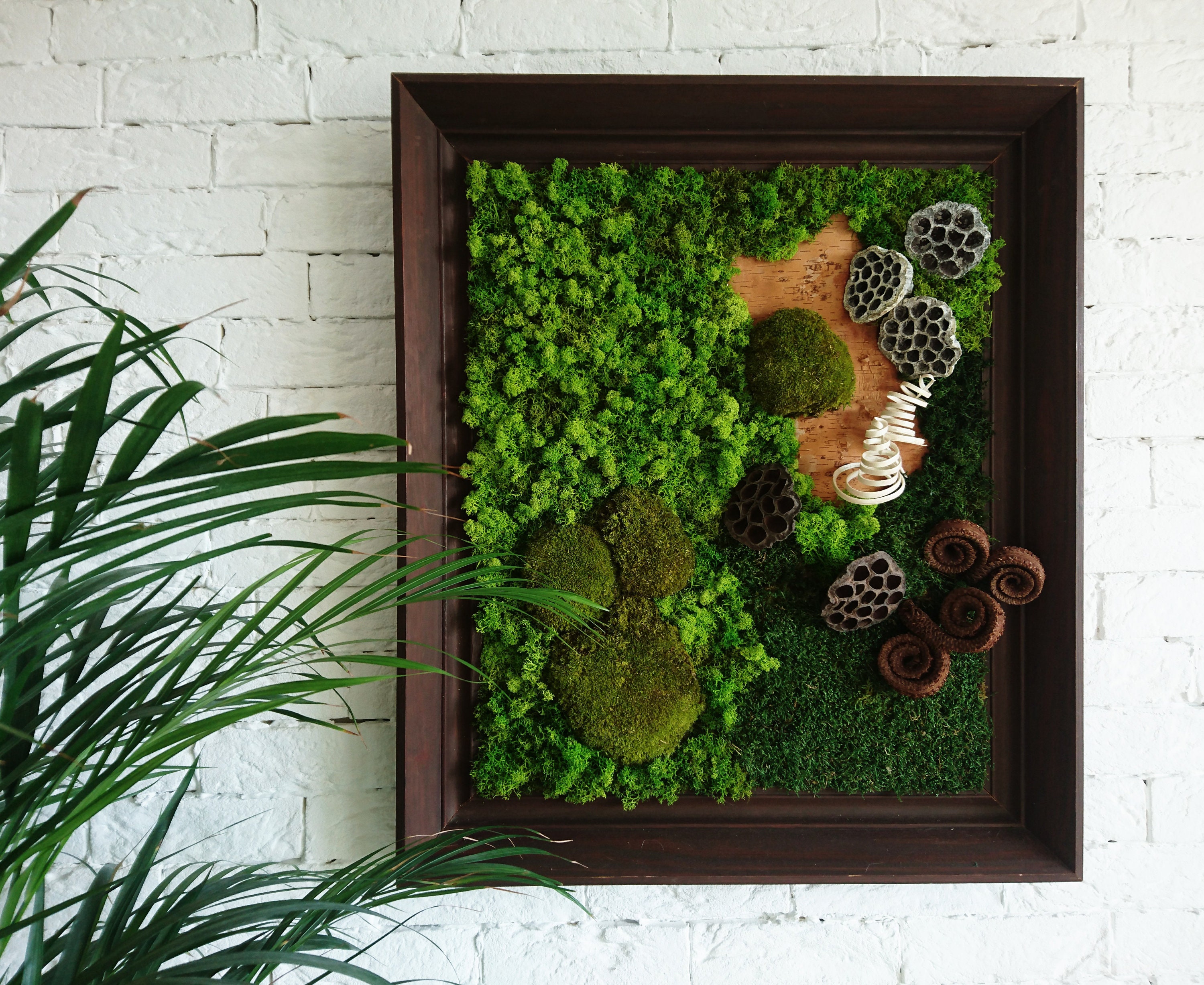 LARGE MOSS WALL / Living Wall Art / House Jungle / Moss Wall Art / Large  Moss Frame / Green Wall Decor / Dried Plants 