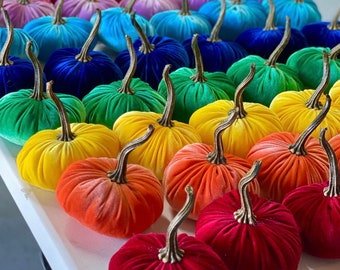 Pumpkin Rainbow - Set of 7 Small Velvet Pumpkins