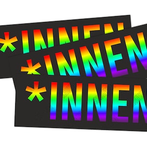 Aufkleber: *innen regenbogen (30 Sticker)