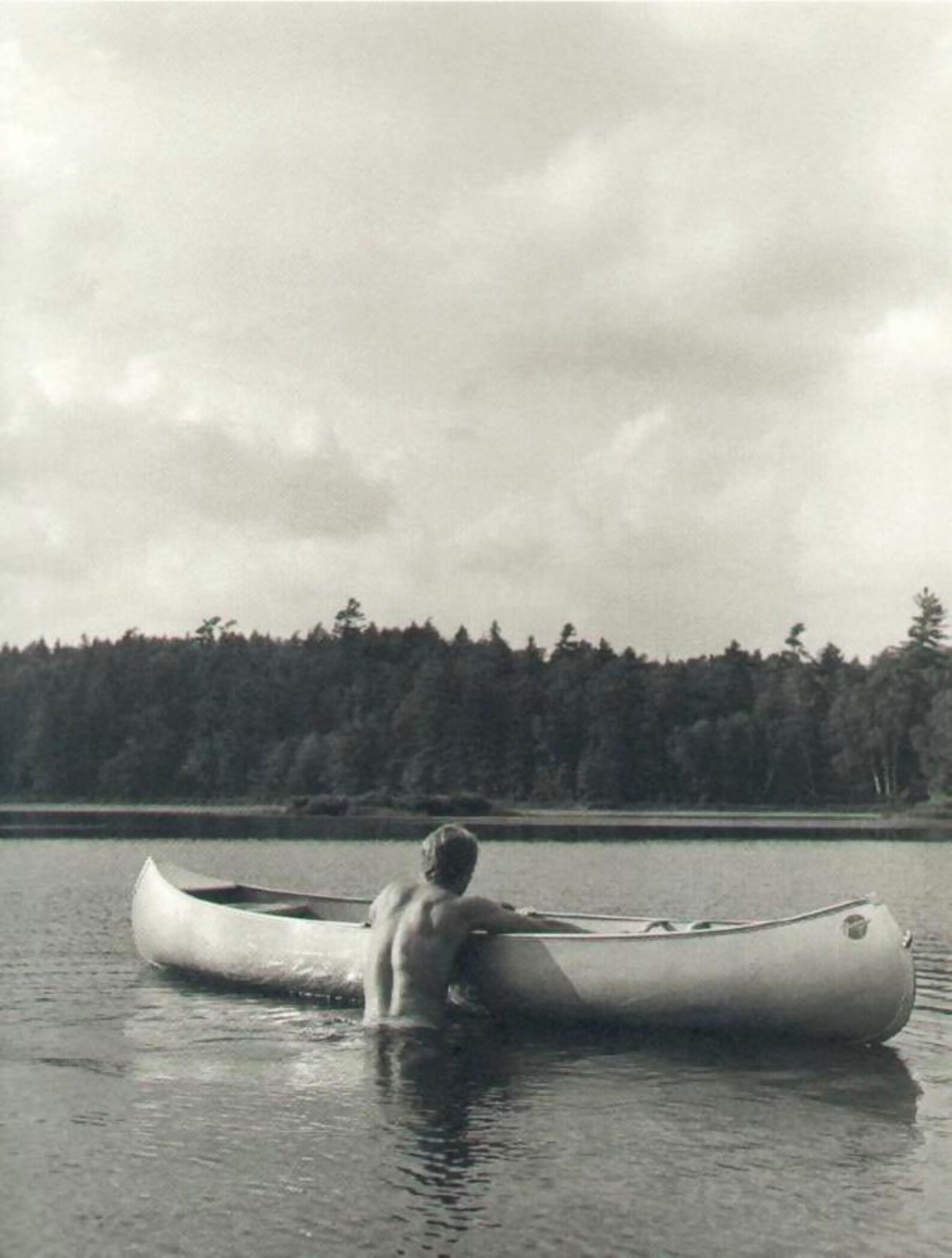 Bear pond by bruce weber