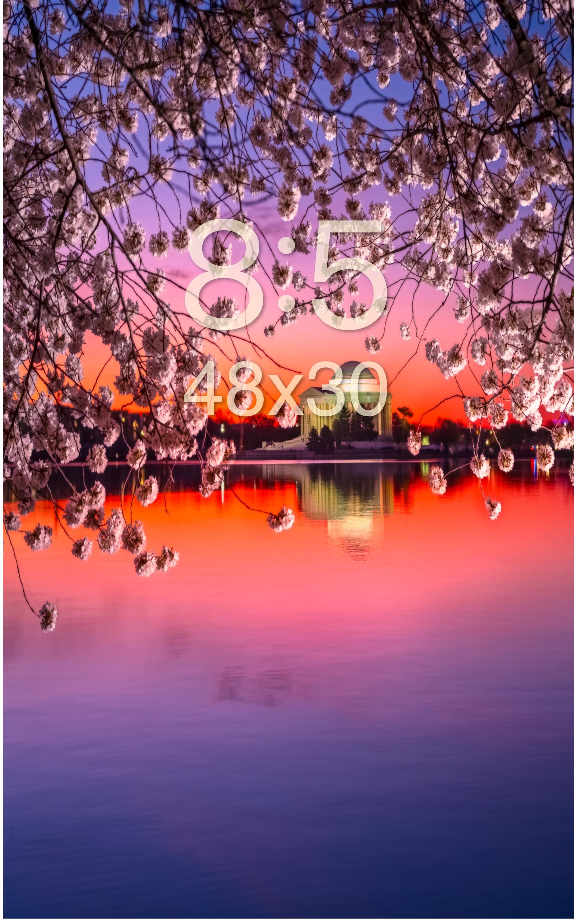 Jefferson Memorial Cherry Blossom Print | Tidal Basin Washington