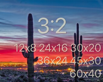 Arizona Saguaro Cactus Wall Art | Phoenix Sunset | Canvas, Framed