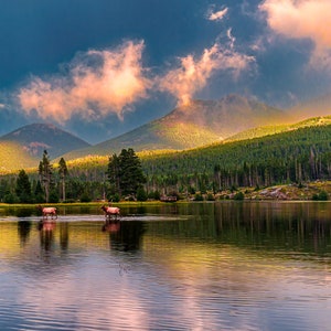 Elk & a Rainbow at Rocky Mountain National Park Photo Print | Colorado Wall Art - Landscape Photograph - Canvas, Metal, Framed, Acrylic