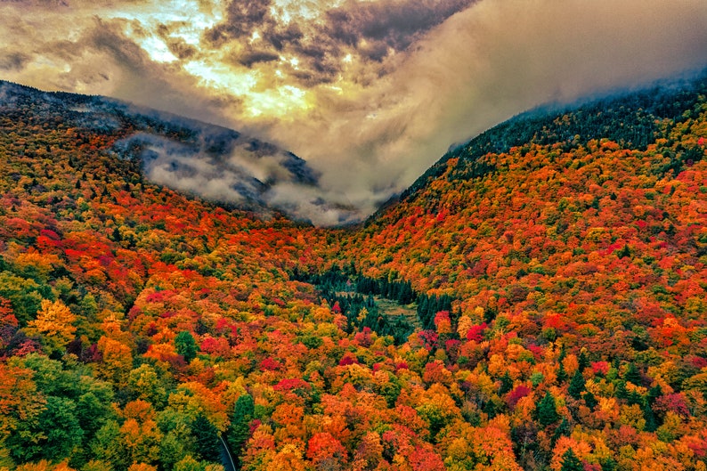 以下が含まれることがあります： 山岳地帯の谷を上空から見た写真。谷は鮮やかな秋の紅葉で覆われています。木々は赤、オレンジ、黄色、緑と色とりどりです。谷には霧がかかっており、夢のような雰囲気を醸し出しています。