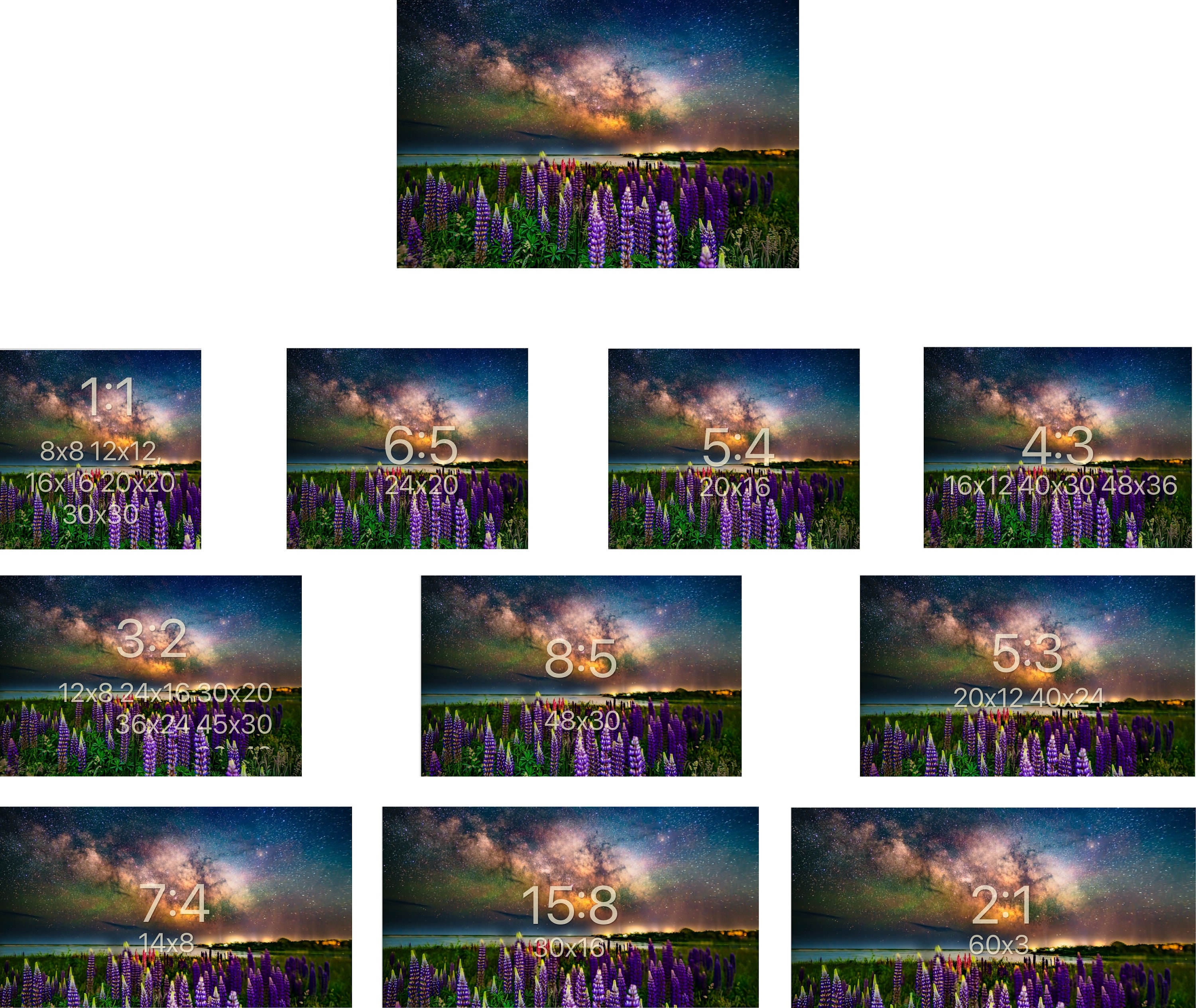 Cape Cod Lupines and Night Stars | Milky Way | Cape Cod Wall Art - Etsy