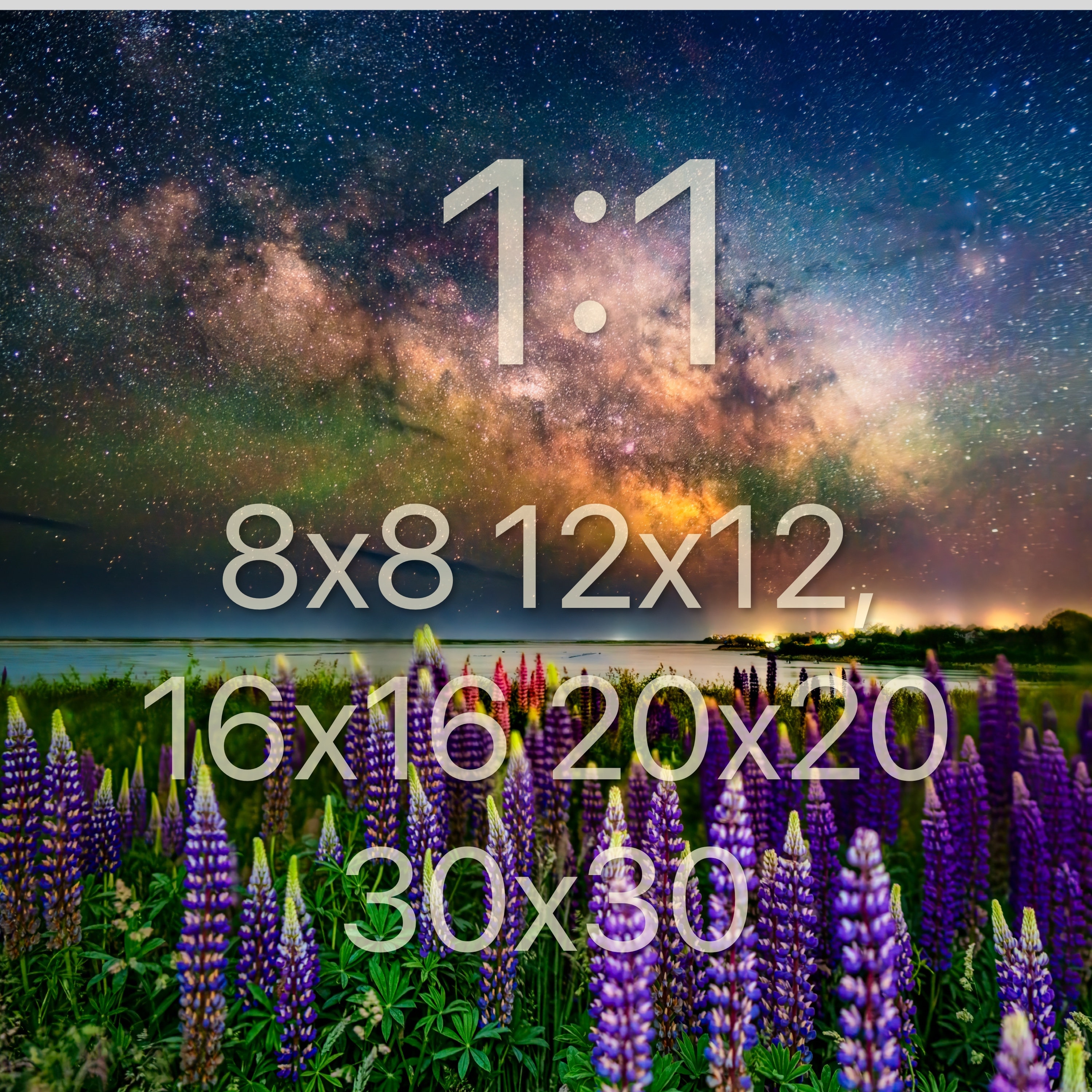Cape Cod Lupines and Night Stars | Milky Way | Cape Cod Wall Art - Etsy