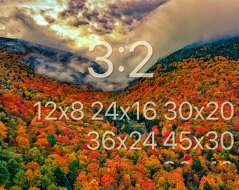 il_340x270.5303170878_o2qw.jpg