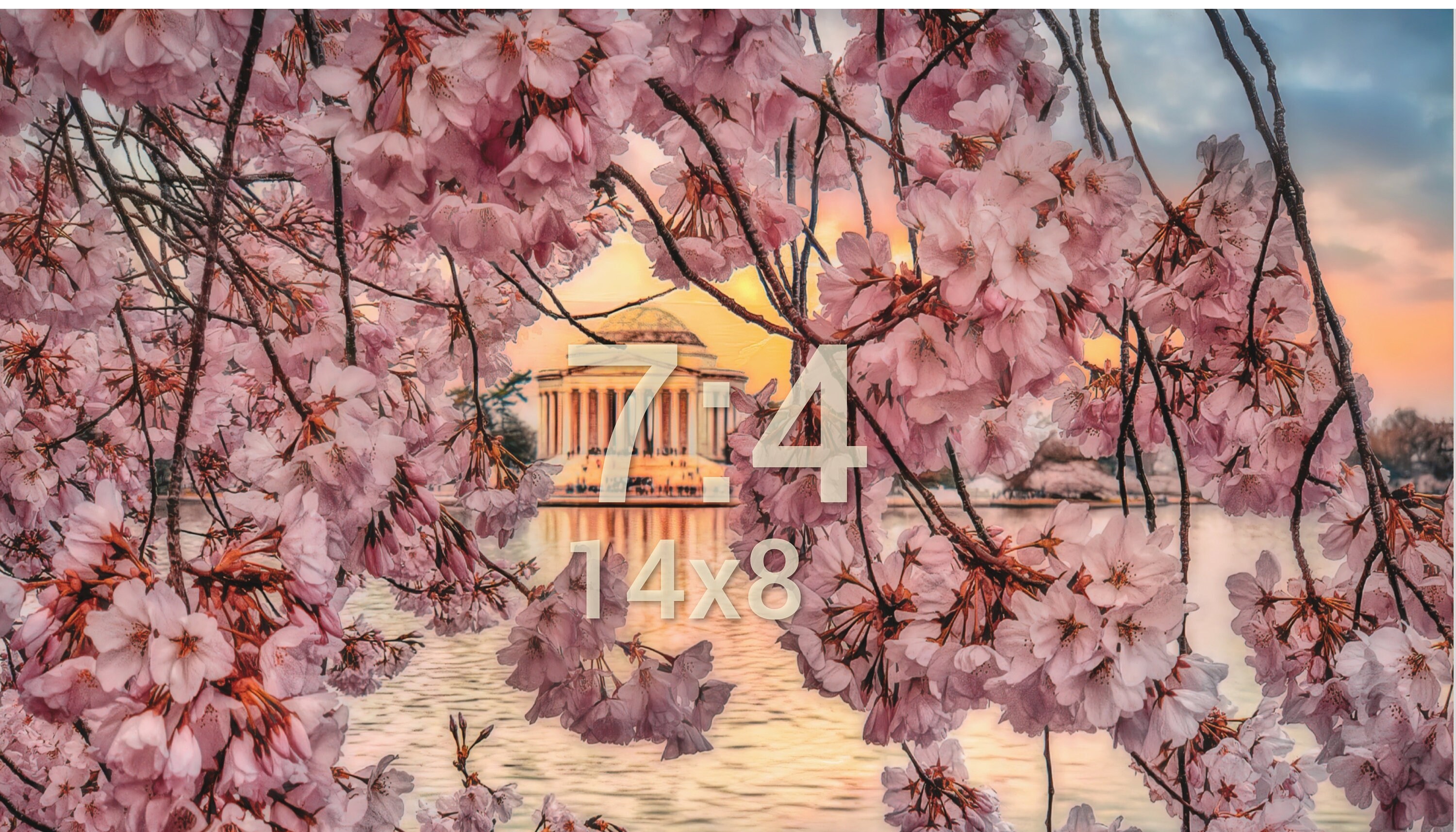 Washington DC - Cherry Blossom Sunset & Jefferson Memorial Photo