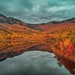 see more listings in the New Hampshire Art Print section