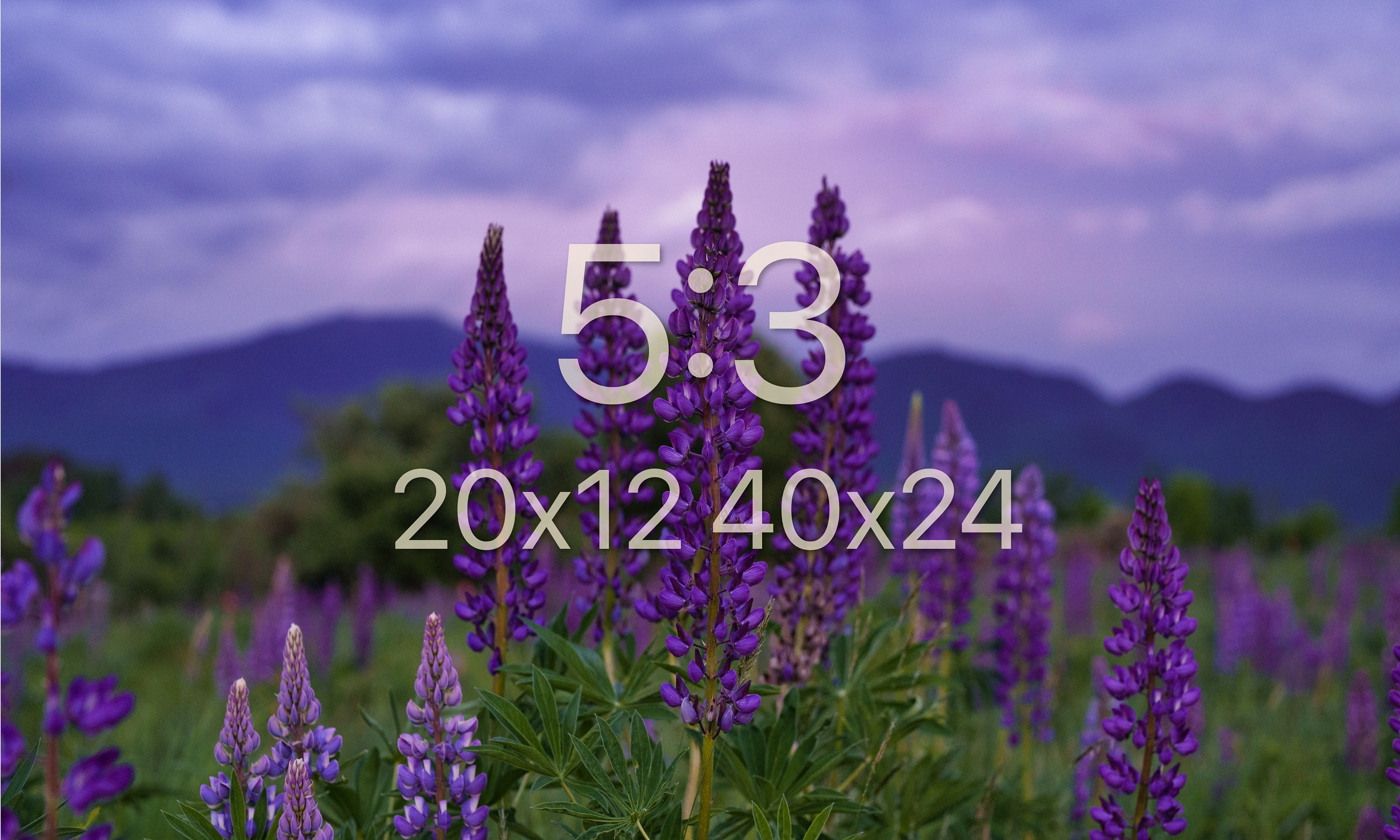 il_fullxfull.5938849021_8cf7.jpg