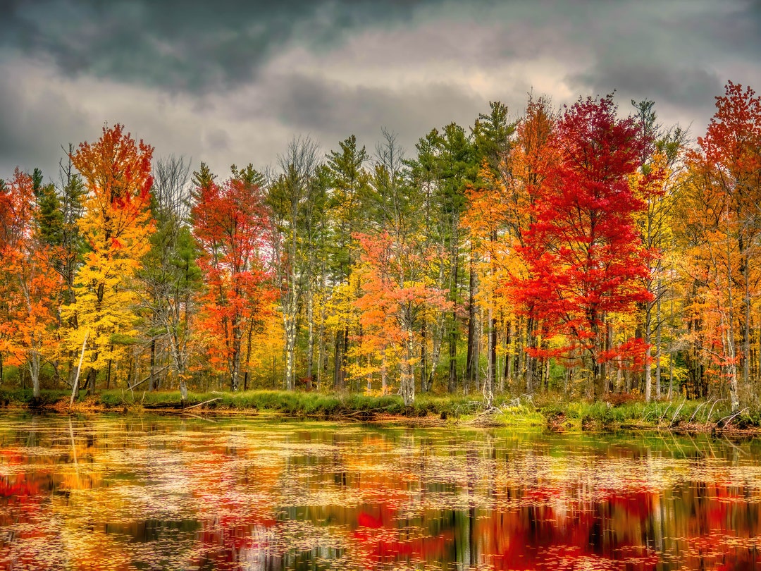 Fall - Fall Wall New Mountains Canvas Autumn Ireland White Foliage, Decor, Print England Home Art, New Colors Autumn Art Maples Hampshire Wall Fall Etsy