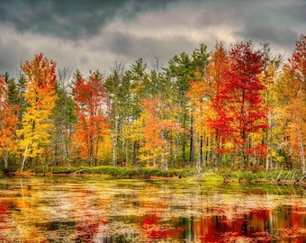 Fall Wall Art, autumn home decor, New England fall Foliage, New Hampshire Maples Autumn | White Mountains fall colors wall art canvas print