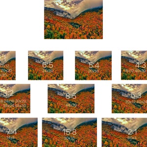 以下が含まれることがあります： 秋に紅葉した森の航空写真。鮮やかな赤、オレンジ、黄色の葉が木々を覆い、森全体が薄霧に包まれている。空は白雲が広がる淡い青色です。