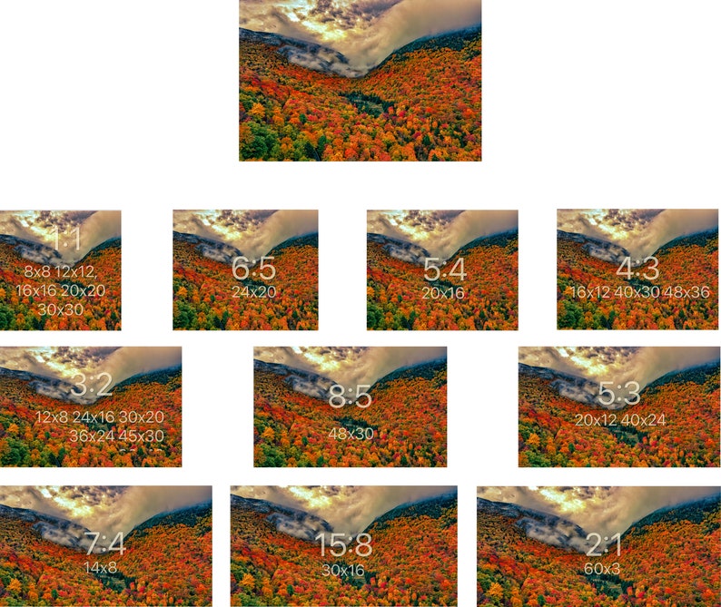 以下が含まれることがあります： 秋に紅葉した森の航空写真。鮮やかな赤、オレンジ、黄色の葉が木々を覆い、森全体が薄霧に包まれている。空は白雲が広がる淡い青色です。