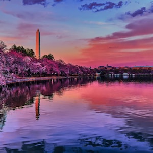 Cherry Blossom Sunset Washington DC Photo Print – Landscape Wall Art, Washington Monument Photography, Tidal Basin Canvas Print, Home Decor