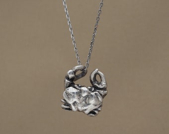 Astro | Collana Con Segno Zodiacale Dell'Acquario In Acciaio Inossidabile Color Argento P