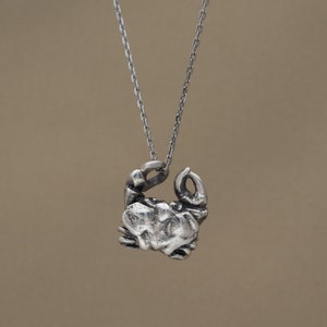 CANCER Crab Pendant - 925 Sterling Silver Zodiac Necklace - Art Jewelry for Men and Women