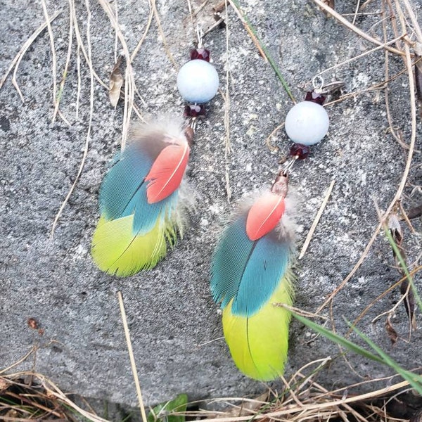 Boucles d’oreilles colorées en plumes de perroquet naturellement perdues