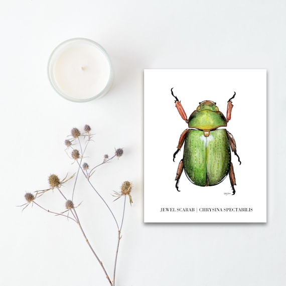 nursery decor animal wildlife Scarab Beetle watercolour painting print 8x10 inch wall art insect nature art conservation birthday gifts
