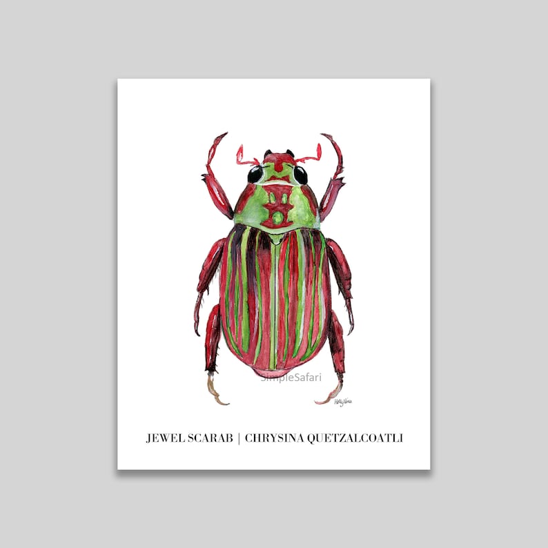 nursery decor animal wildlife Scarab Beetle watercolour painting print 8x10 inch wall art insect nature art conservation birthday gifts