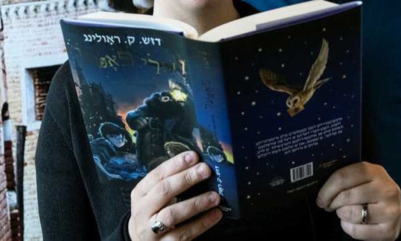 May include: A person is reading a book with a blue cover and a white owl illustration. The book title is in Hebrew and reads "The Owl and the Cat".