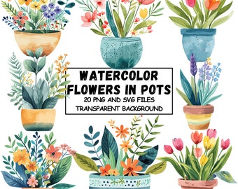 Puede incluir: Un conjunto de 20 ilustraciones de acuarela de flores en macetas. Las flores son de varios colores, incluyendo rosa, rojo, amarillo y azul. Las macetas son de varios colores, incluyendo azul, verde y marrón. Las ilustraciones están sobre un fondo transparente.