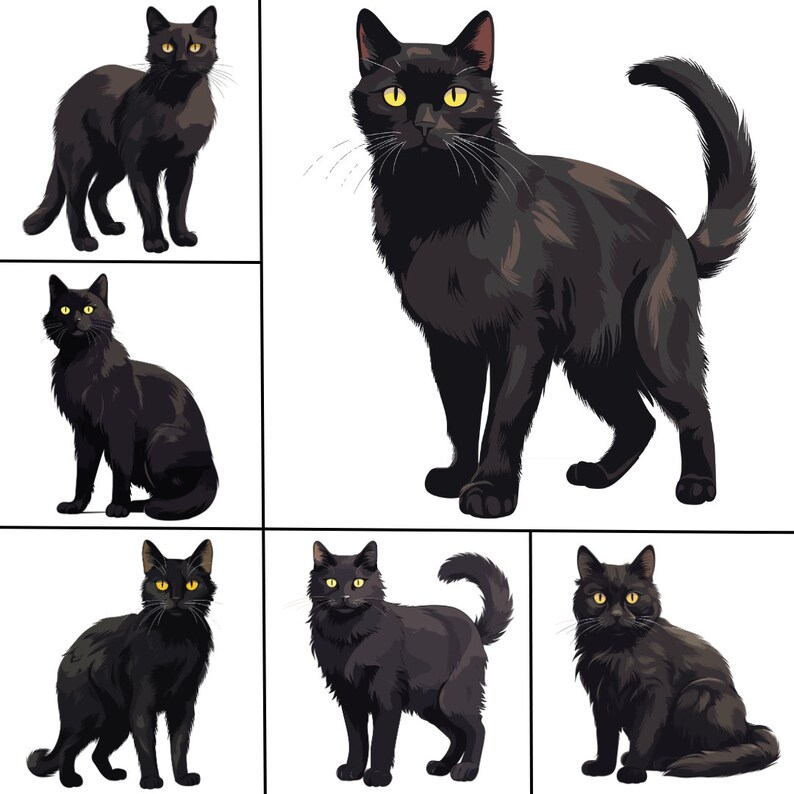 Hand Drawn Style Black Cats Clipart Watercolor Cats and Kittens in PNG