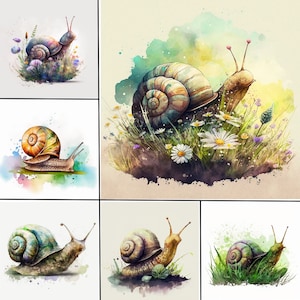 Lumaca acquerello Clip Art Lumaca Bundle Clipart in formato PNG Download istantaneo per uso commerciale